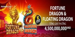 pp fortune dragon & floating dragon