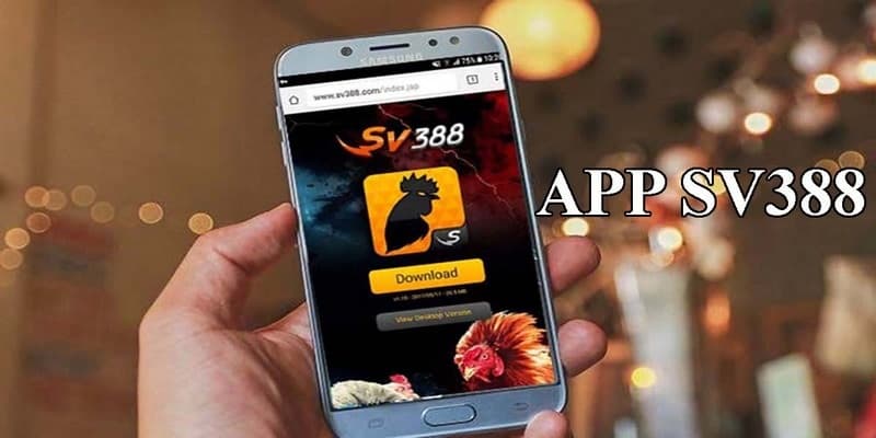 FAQ SV388 - App SV388 mang đến cho người chơi nhiều tính năng ưu Việt